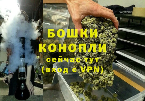 хмурый Новозыбков