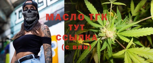 хмурый Новозыбков