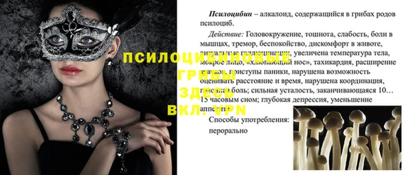 mdpv Алзамай