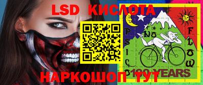 индика Комсомольск-на-Амуре