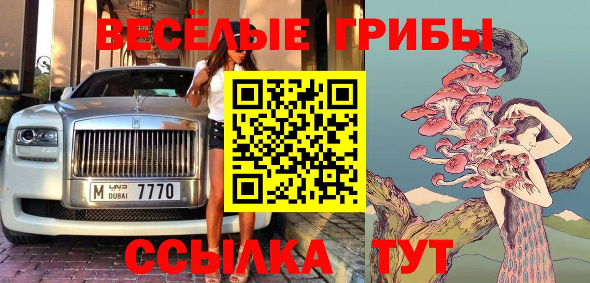 Галлюциногенные грибы прущие грибы Волгоград