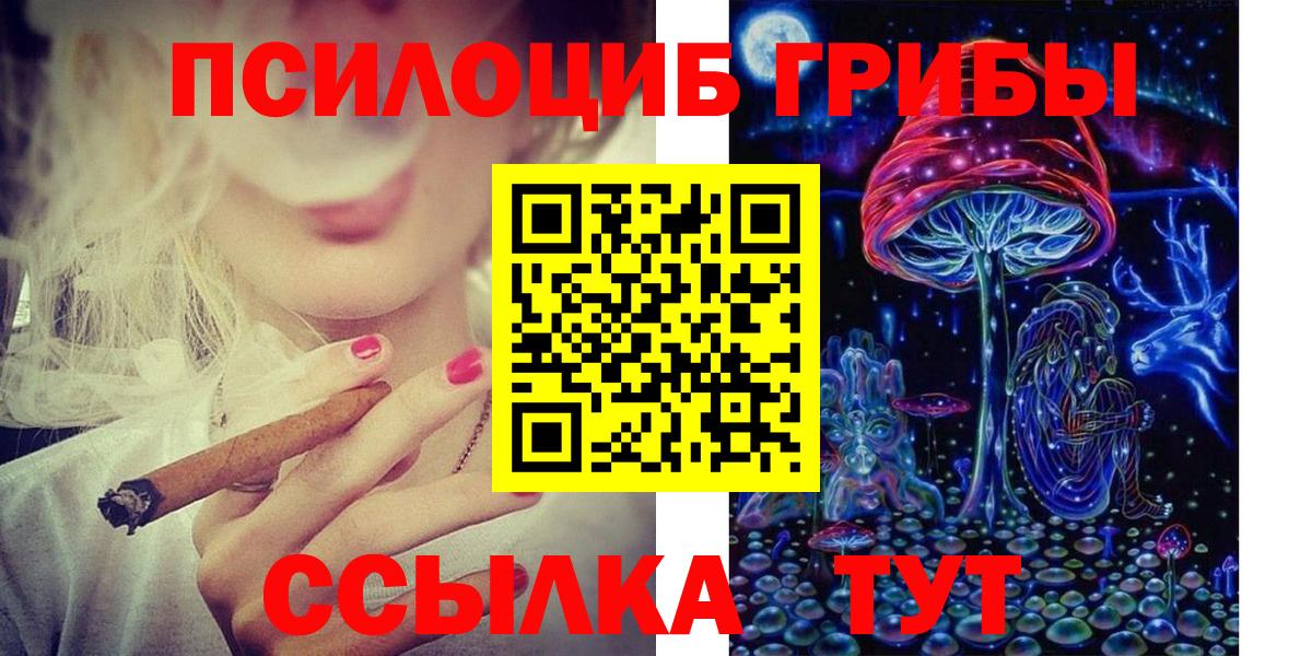 Псилоцибиновые грибы MAGIC MUSHROOMS  Вход с VPN  Волгоград  Галлюциногенные грибы Psilocybe 