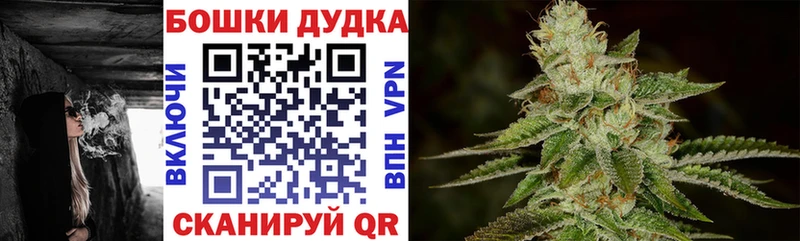Бошки Шишки SATIVA & INDICA  Волгоград 